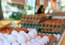Reform MS criticises Sainsbury's egg colour change