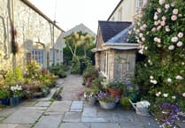 Explore Tenby's Gardens for a Cause