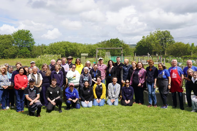 Wildflowers, wellbeing, and a whole lot of curry: Volunteers at The Big Do