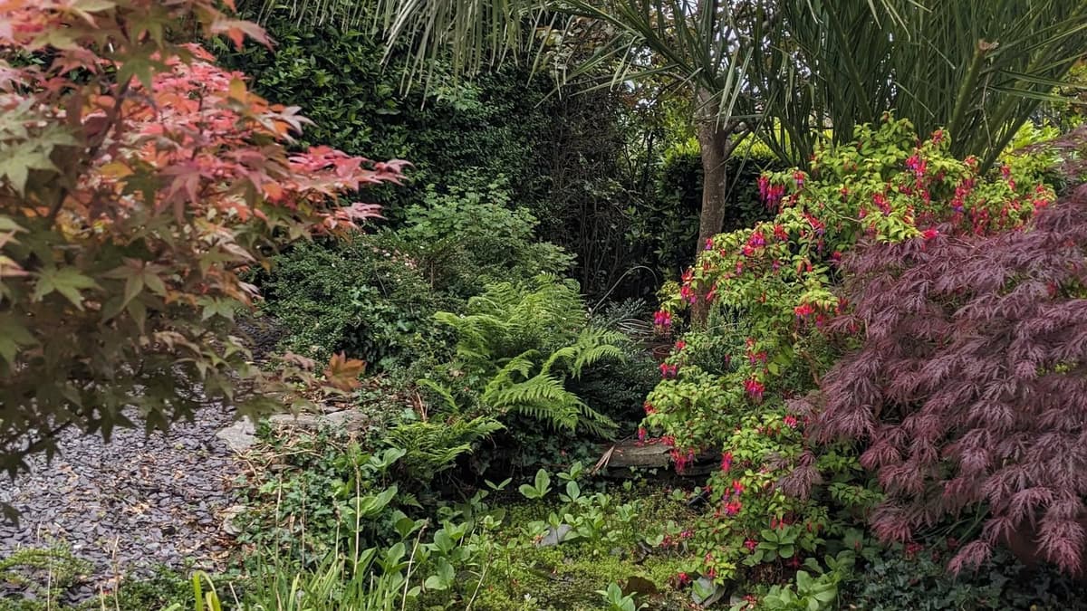 New Hedges WI defies weather for garden gathering