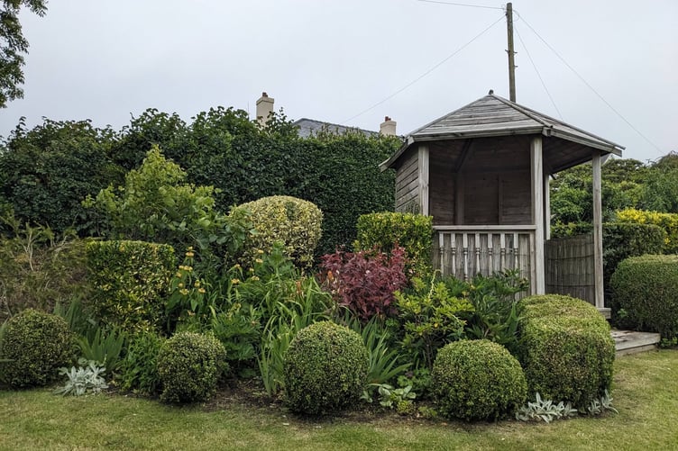 New Hedges WI member’s garden