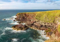 Local contractors invited to nature recovery events
