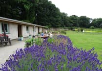 Summerhill WI's workshops and garden tour: A day of exploration