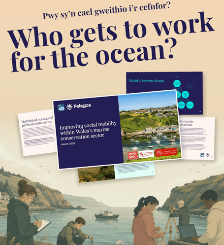 Who gets to work for the ocean - report graphic cropped