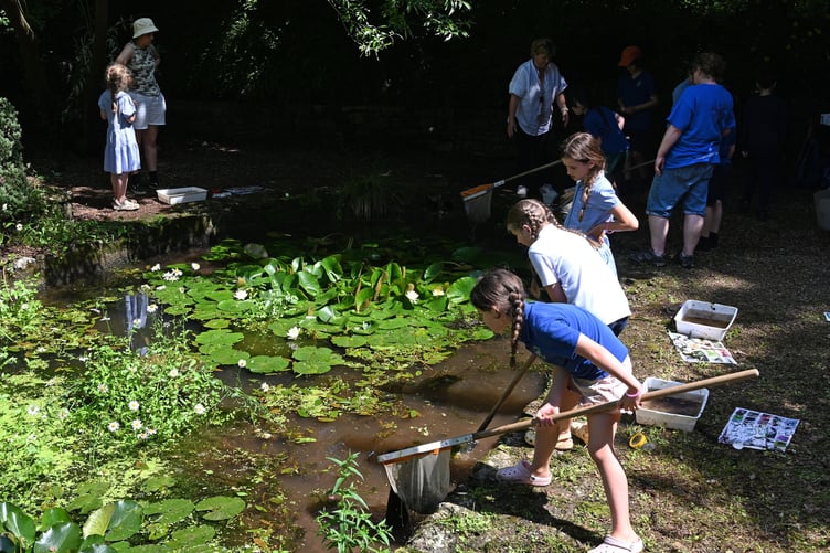 Manorbier pupils sampling for invertebrates and amphibians Welston Challenge