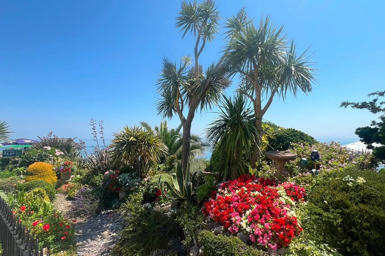 Tenby in Bloom