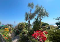 Tenby in Bloom poster winners announced